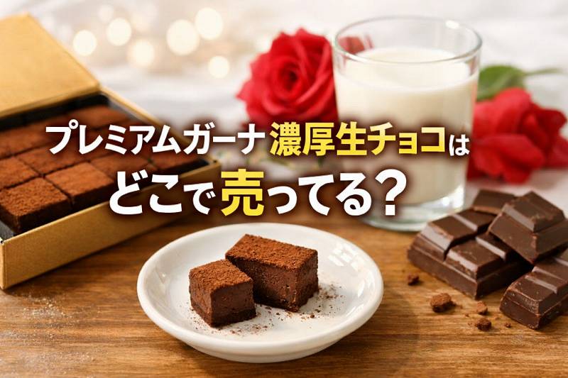 プレミアムガーナチョコどこで売っている
